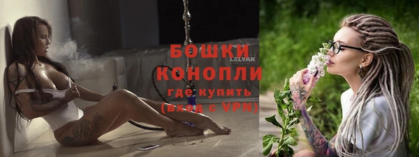стаф Нефтегорск