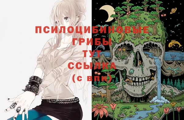 mix Армянск