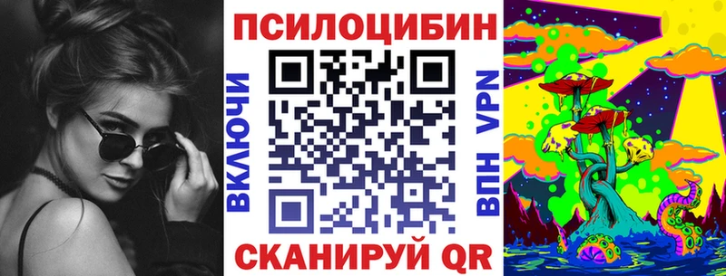 гидра сайт  Рошаль  Псилоцибиновые грибы Magic Shrooms 