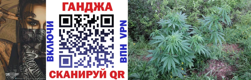 Шишки марихуана SATIVA & INDICA  продажа наркотиков  hydra рабочий сайт  Рошаль 